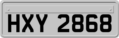 HXY2868