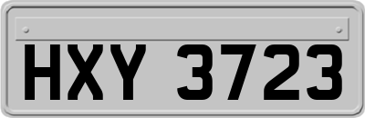 HXY3723