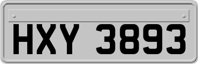 HXY3893