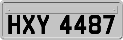 HXY4487