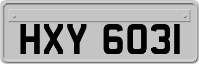 HXY6031