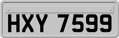 HXY7599