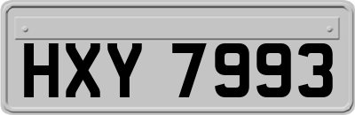 HXY7993