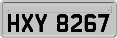 HXY8267