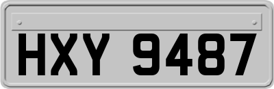 HXY9487