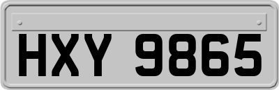 HXY9865