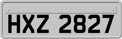 HXZ2827