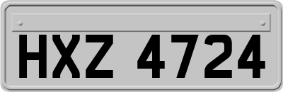 HXZ4724
