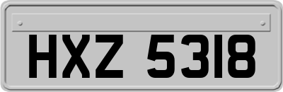 HXZ5318