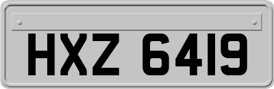 HXZ6419