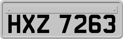 HXZ7263