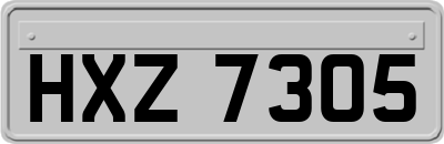 HXZ7305