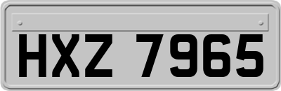 HXZ7965