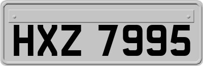 HXZ7995