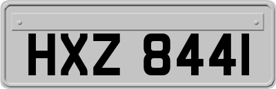 HXZ8441