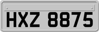 HXZ8875