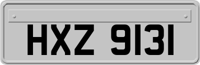 HXZ9131