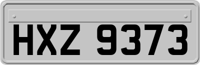 HXZ9373