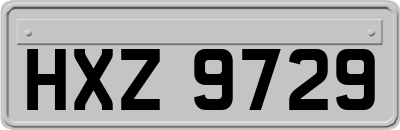 HXZ9729