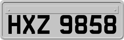 HXZ9858