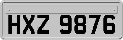 HXZ9876