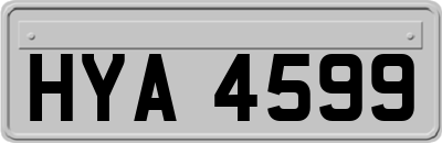 HYA4599