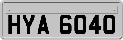 HYA6040