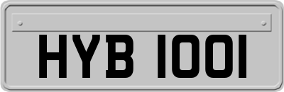 HYB1001