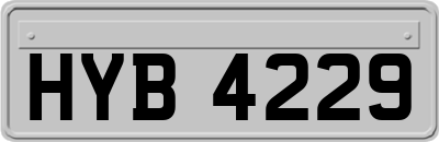 HYB4229