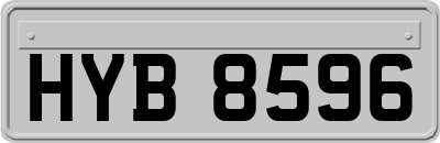 HYB8596