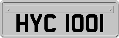 HYC1001