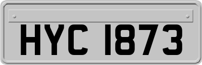 HYC1873