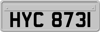 HYC8731