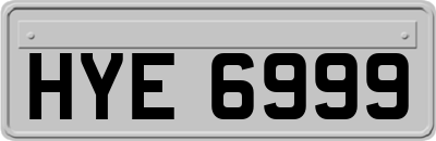 HYE6999