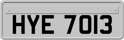 HYE7013