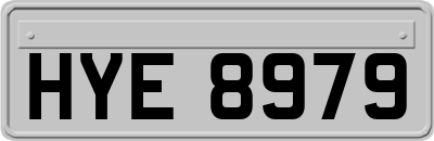 HYE8979