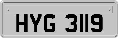 HYG3119