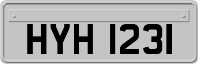 HYH1231