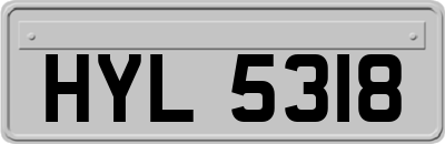 HYL5318