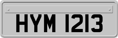 HYM1213