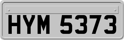 HYM5373