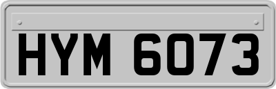HYM6073