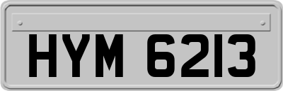 HYM6213