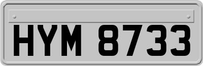 HYM8733
