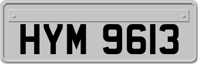HYM9613