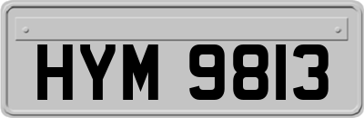 HYM9813