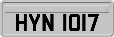 HYN1017