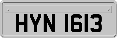 HYN1613