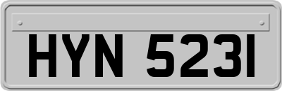 HYN5231