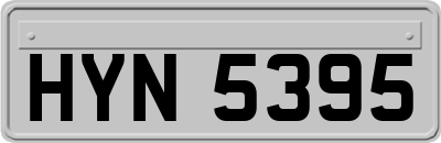 HYN5395